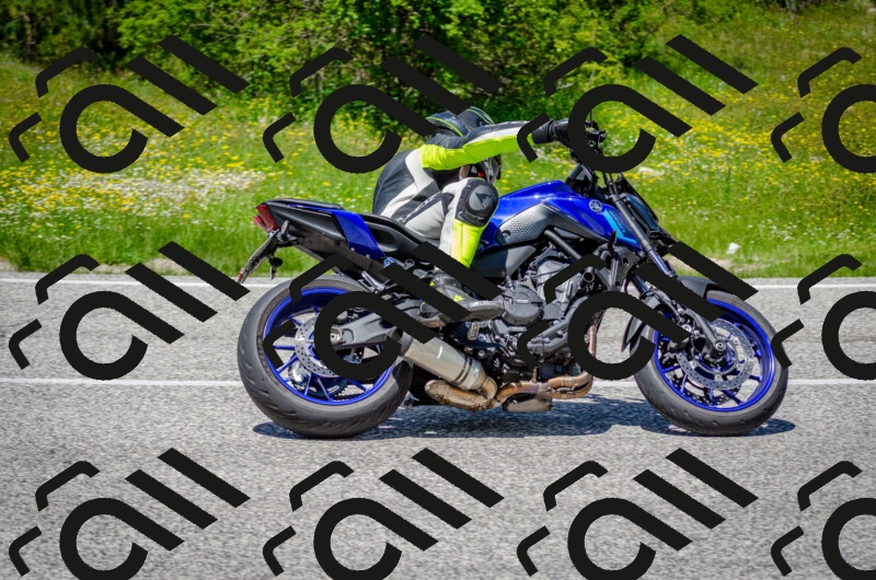 202506011319-DSC_4960_c2