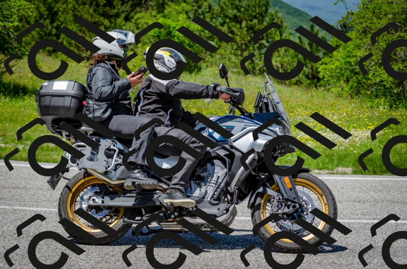 202506011319-DSC_4975_c2