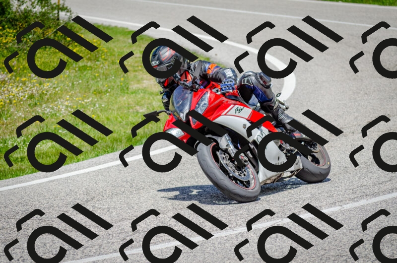 202506011319-DSC_4976_c2