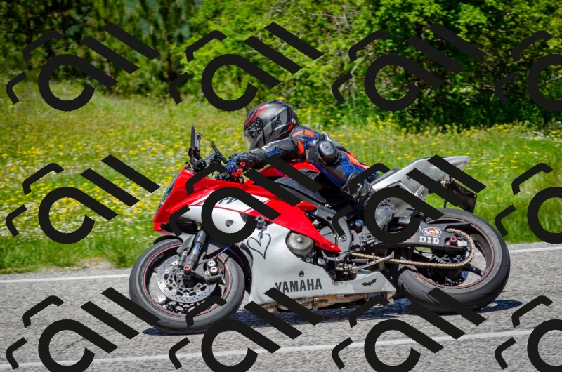 202506011319-DSC_4977_c2