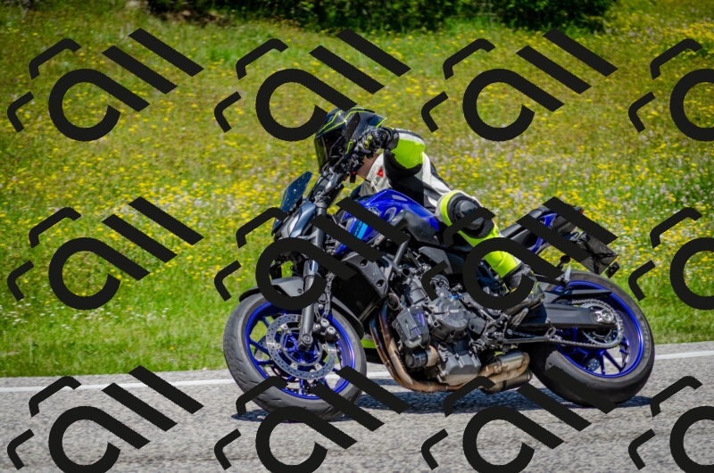 202506011319-DSC_4980_c2