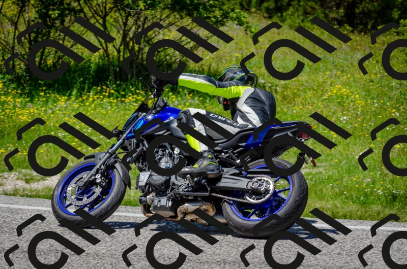 202506011319-DSC_4981_c2