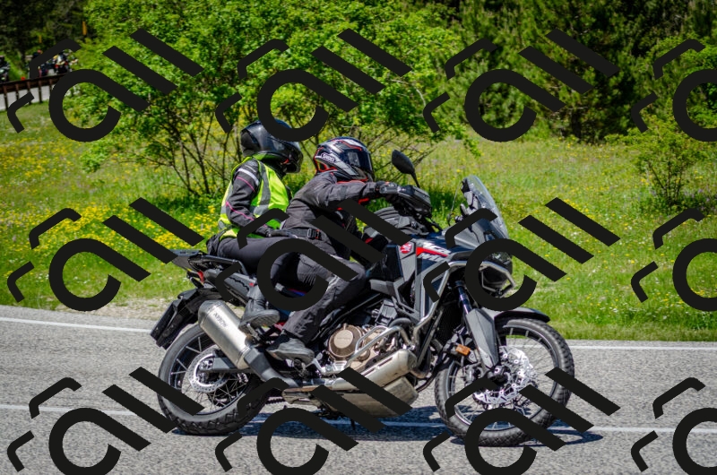 202506011320-DSC_4989_c2