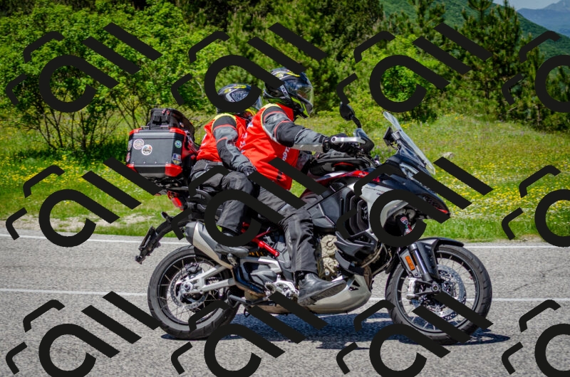 202506011320-DSC_4995_c2