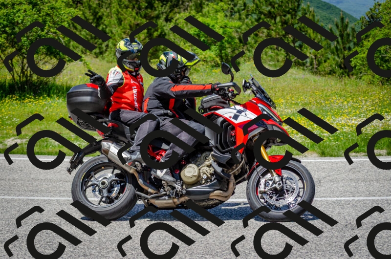 202506011321-DSC_5013_c2