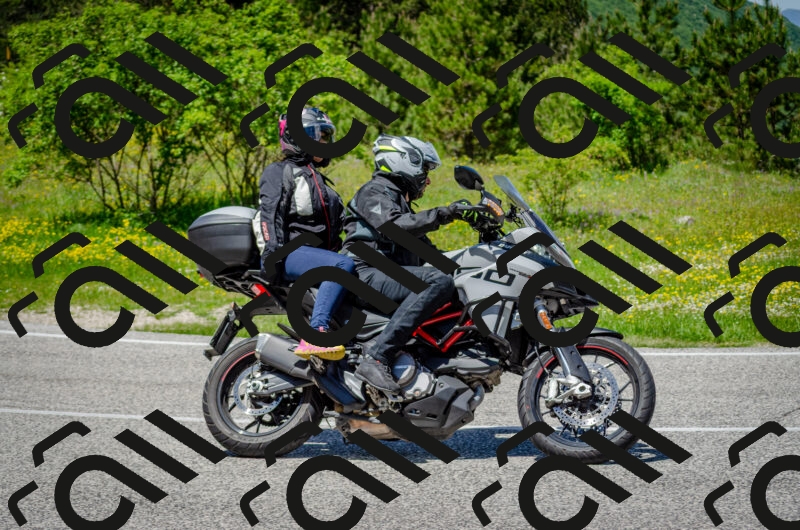 202506011321-DSC_5015_c2