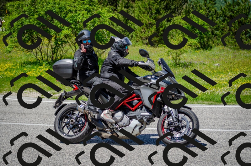 202506011321-DSC_5018_c2