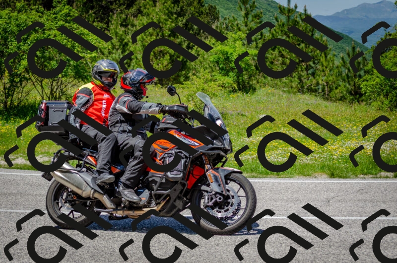 202506011321-DSC_5021_c2