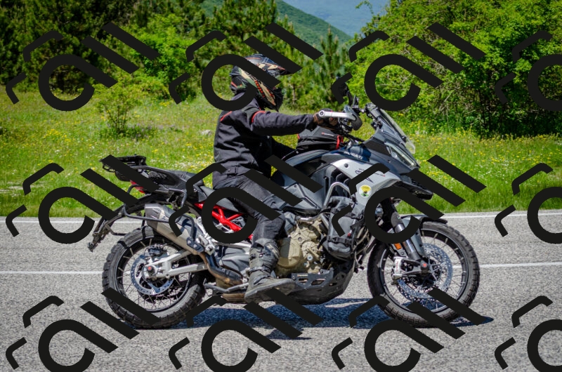 202506011321-DSC_5027_c2