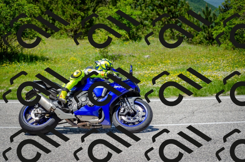 202506011321-DSC_5046_c2