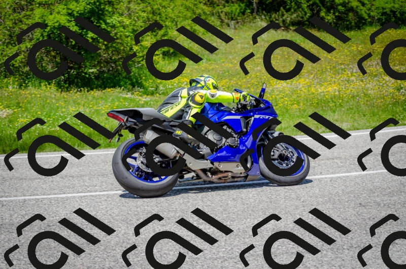 202506011321-DSC_5047_c2