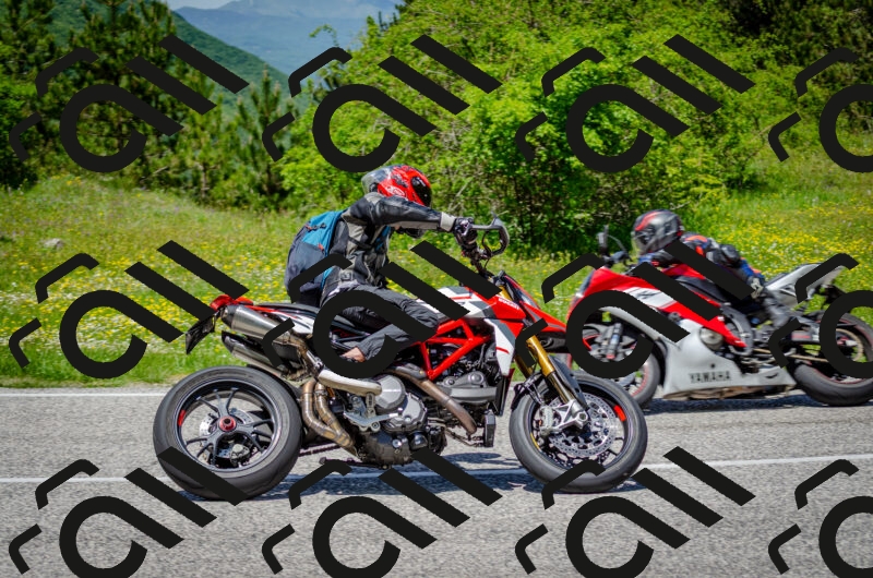 202506011322-DSC_5050_c2