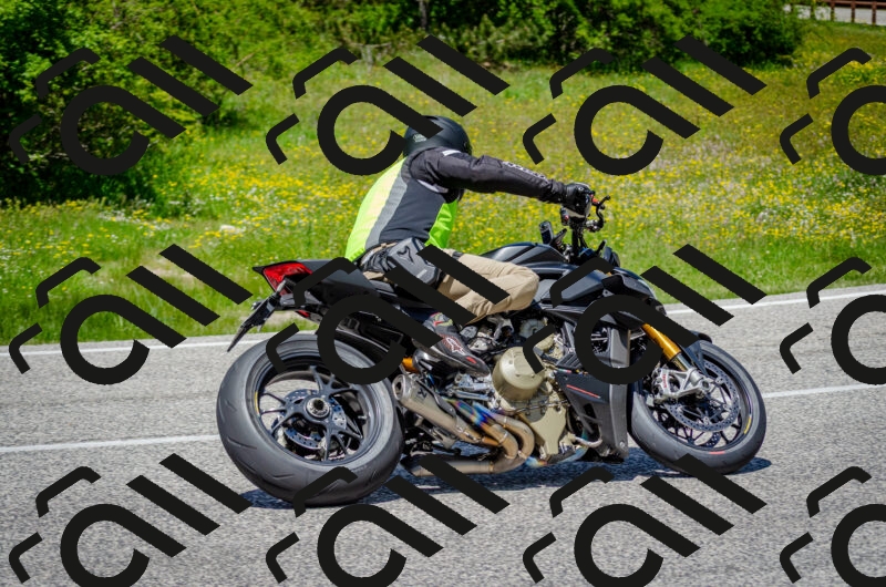 202506011322-DSC_5057_c2