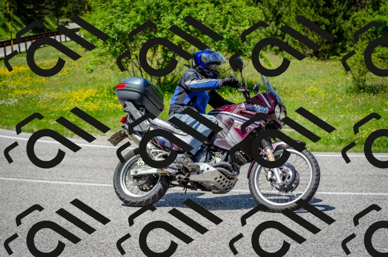 202506011323-DSC_5077_c2