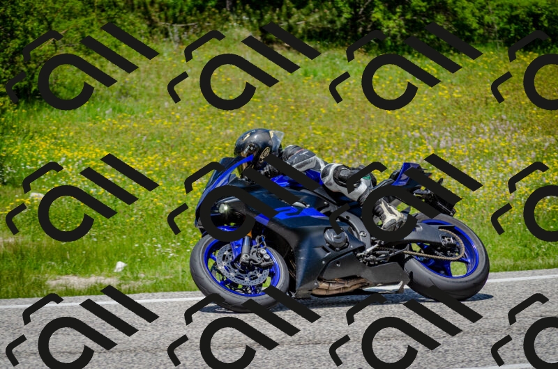 202506011325-DSC_5087_c2