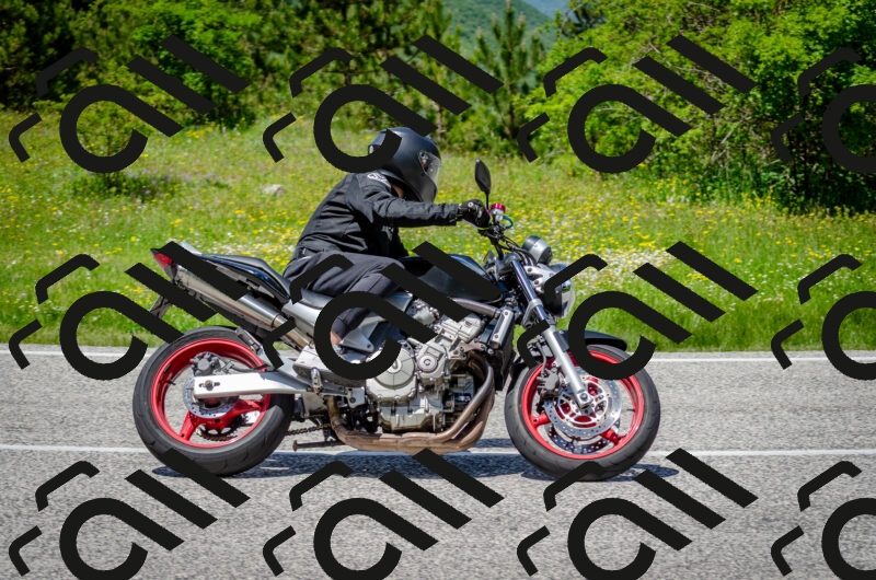 202506011325-DSC_5093_c2