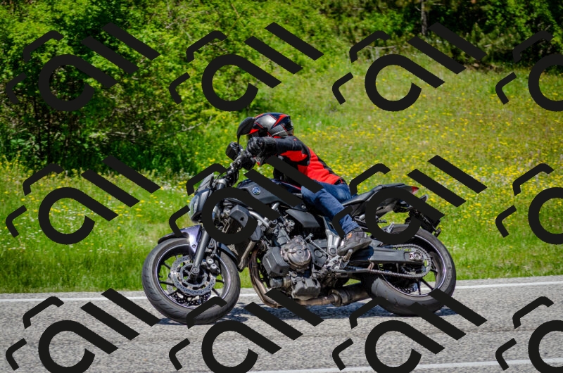 202506011325-DSC_5095_c2