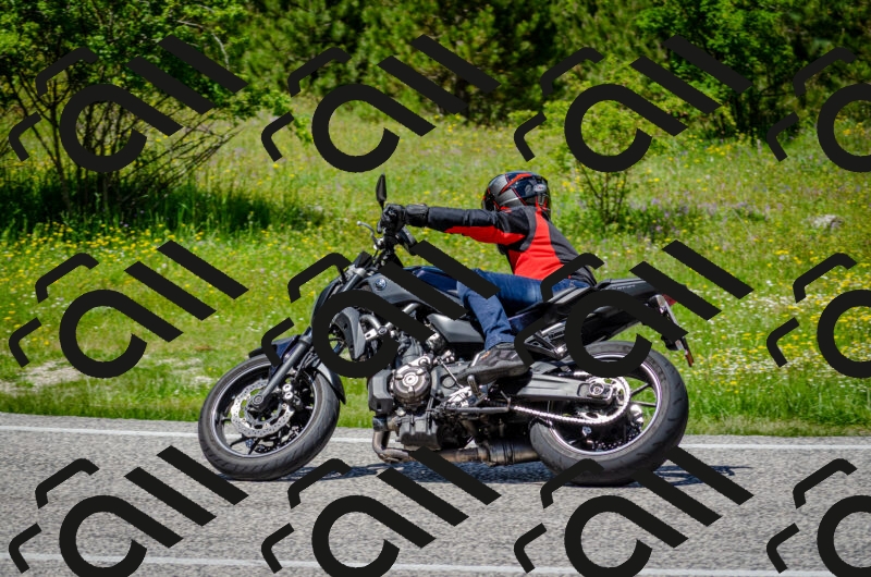 202506011325-DSC_5096_c2