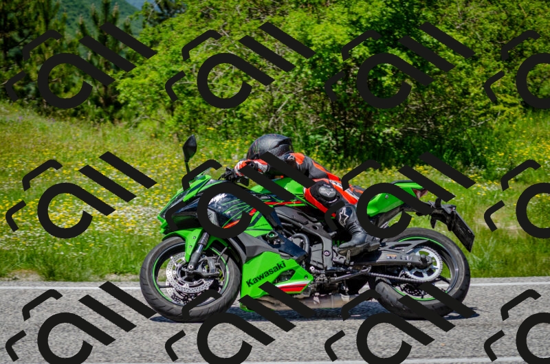 202506011325-DSC_5098_c2