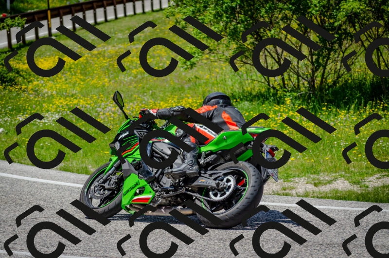 202506011325-DSC_5099_c2