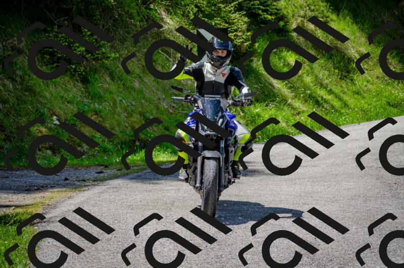 202506011325-DSC_5100_c2