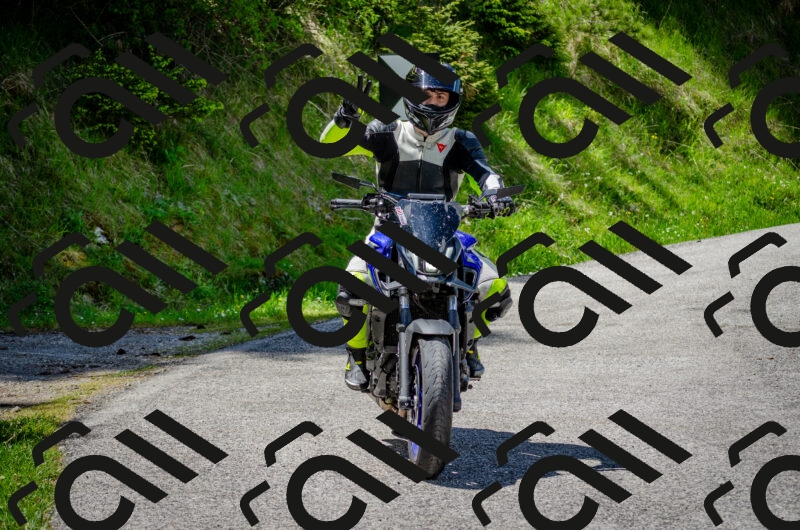 202506011325-DSC_5101_c2