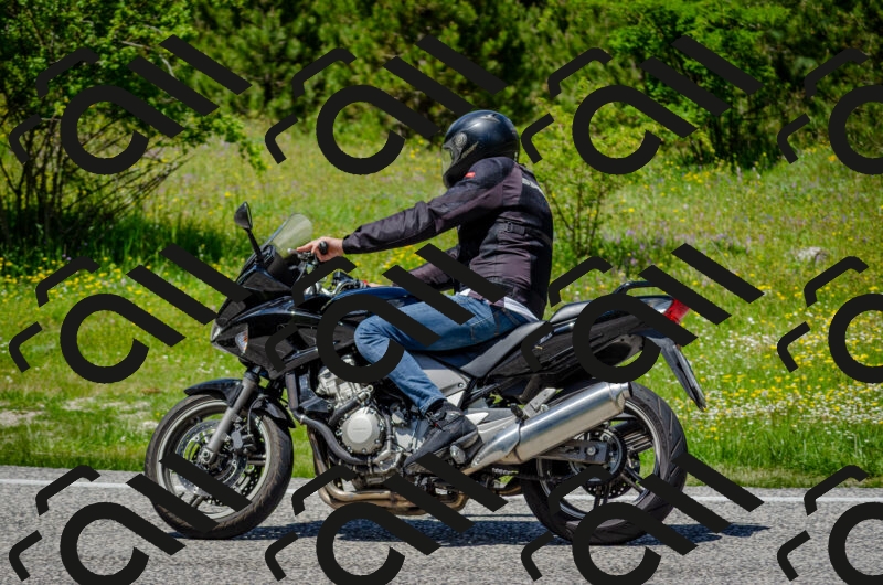 202506011325-DSC_5103_c2