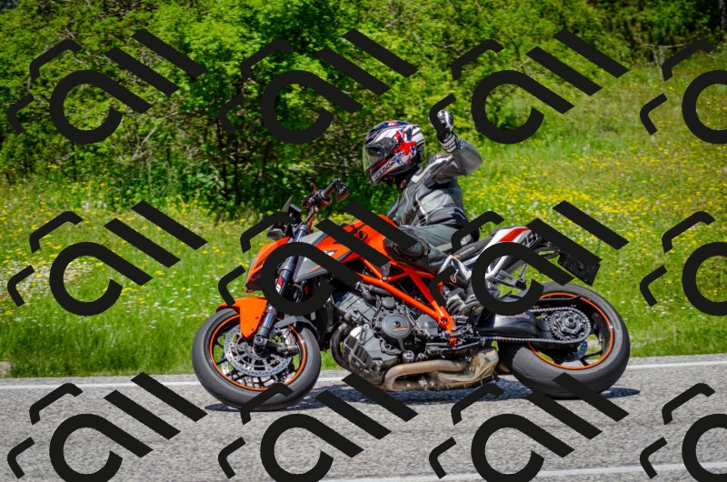 202506011327-DSC_5115_c2