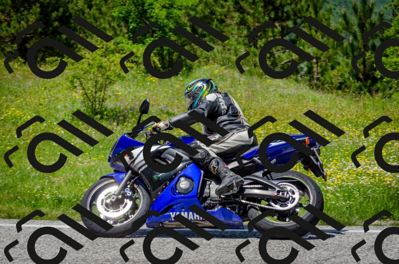 202506011327-DSC_5117_c2