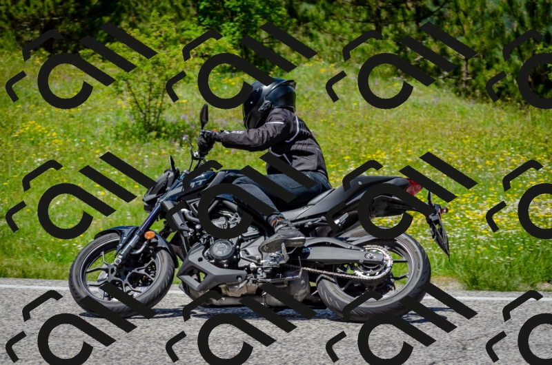 202506011328-DSC_5121_c2