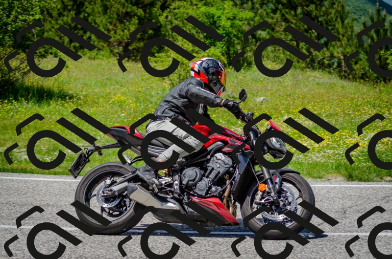 202506011329-DSC_5134_c2