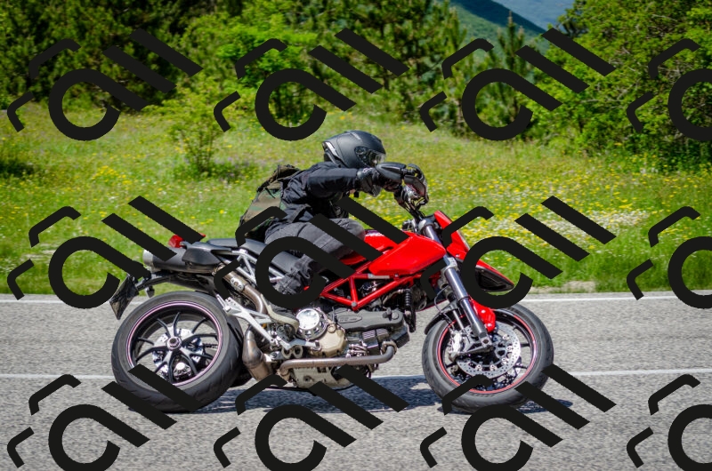 202506011330-DSC_5138_c2