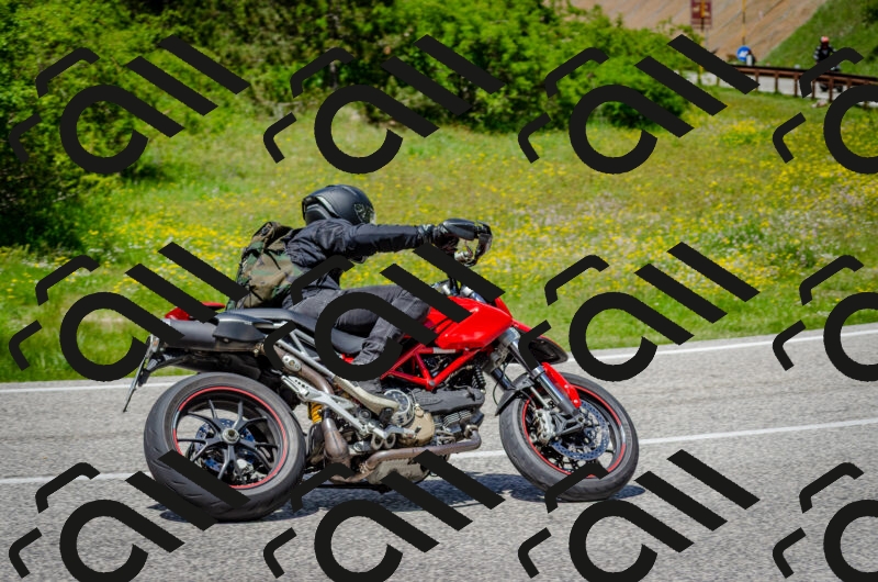 202506011330-DSC_5139_c2