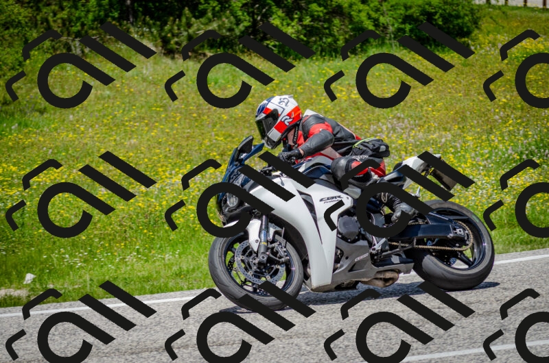 202506011330-DSC_5140_c2