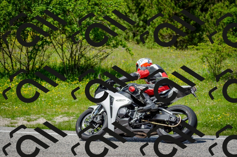 202506011330-DSC_5141_c2