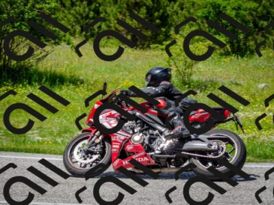 202506011330-DSC_5147_c2