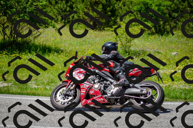 202506011330-DSC_5147_c2