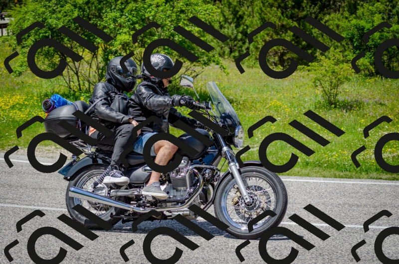 202506011330-DSC_5149_c2