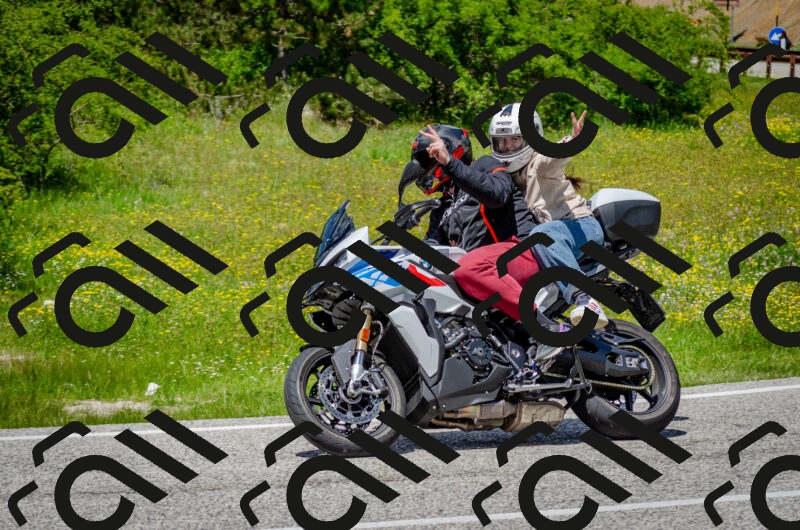 202506011330-DSC_5155_c2