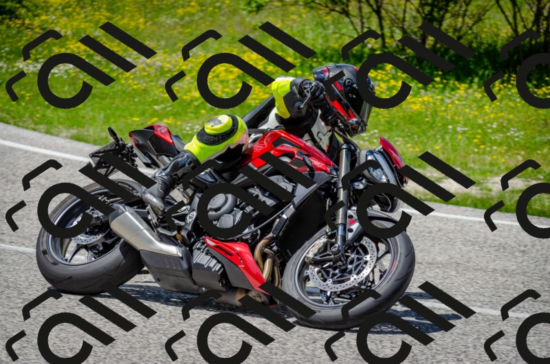 202506011331-DSC_5162_c2