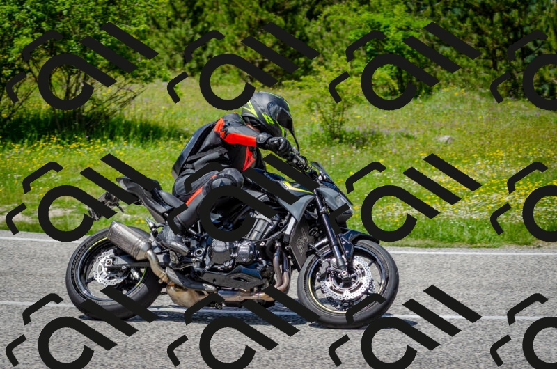 202506011331-DSC_5165_c2