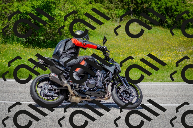 202506011331-DSC_5166_c2