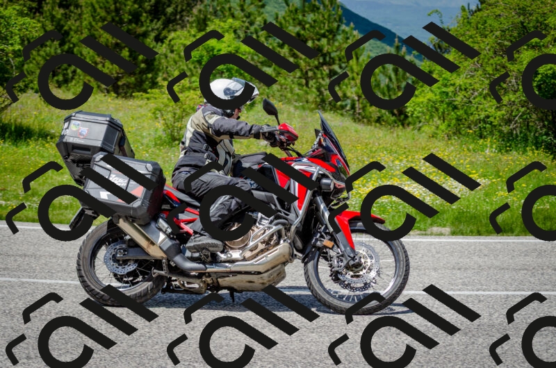 202506011331-DSC_5169_c2