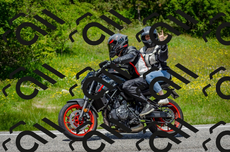 202506011333-DSC_5181_c2