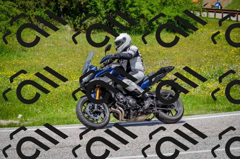 202506011333-DSC_5189_c2