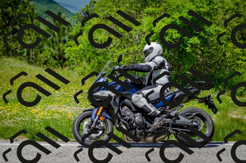 202506011333-DSC_5190_c2