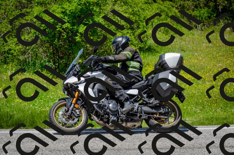 202506011333-DSC_5191_c2