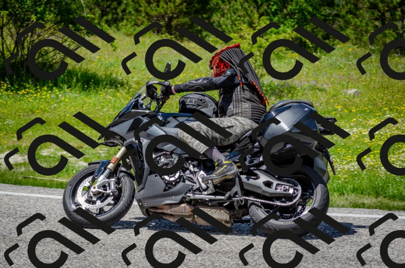 202506011337-DSC_5221_c2