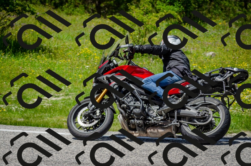 202506011340-DSC_5231_c2