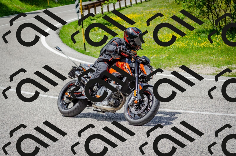 202506011340-DSC_5233_c2